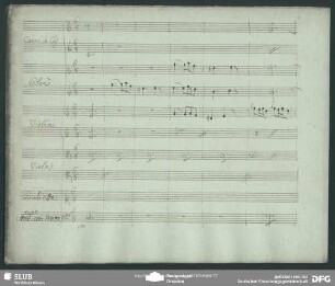 Cavatina: "Hò un cor si tenerello"