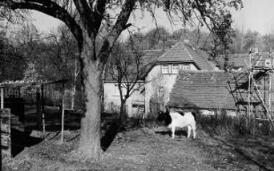 Wilsdruff-Mohorn. Semmelmühle, Ansicht