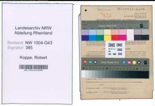 Entnazifizierung Robert Koppe , geb. 25.04.1902 (Angestellter)