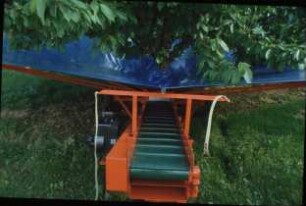 Fotografie: Obstbau, Ernteverfahren, Erntetechnik