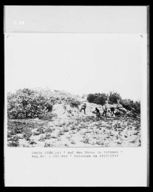 Auf den Dünen im Isthmus von Cádiz