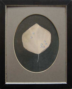 unbenannt [Blatt]