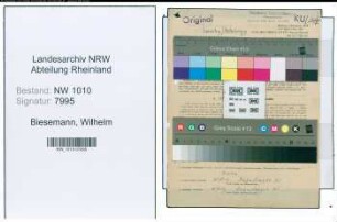 Entnazifizierung Wilhelm Biesemann , geb. 02.01.1906 (Rangiermeister)