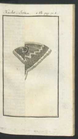 Tafel: Nacht-Schwärmer mit Spiegel-Flecken auf dem Bauche [...]