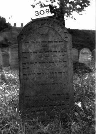 Grabstein 309