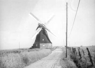 Ahrenshoop Ostseebad-Ahrenshoop. Erdholländer