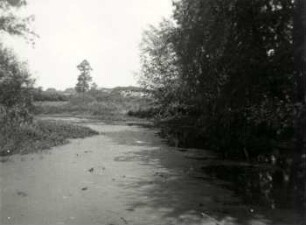 Elster-Luppe Regulierung