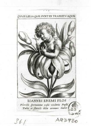 Johannes in einer Lilie. Kupferstich; 85 x 92 mm (R. Sadeler nach Le Jaune). Dresden: Kupferstich-Kabinett A 43 430 in A 1155, 2
