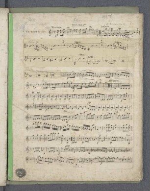 Violino 1mo