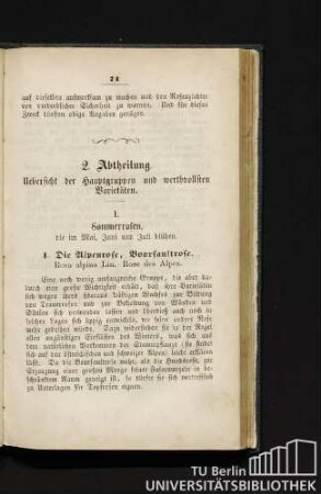 2. Abtheilung. Uebersicht der Hauptgruppen und werthvollsten Varietäten.