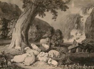 Ruhende Schafherde : Ruhende Schafherde. Aquarell (vor 1829; J. H. W. Tischbein)