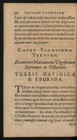 Caput Vigesimum Tertium. Encomium Marianum Vigesimum Septimum et Octavum. Turris Davidica & Eburnea.