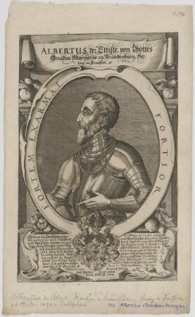 Bildnis des Albertus, der Eltiste, Marggrav zu Brandenburg