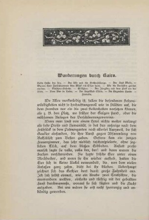 Wanderungen durch Kairo