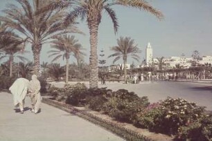 Reisefotos Libyen. Tripolis. Öffentlicher Park