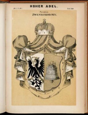Taf. 399. Fürsten Zwenigorodjky.