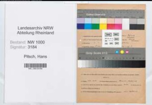 Entnazifizierung Hans Pitsch, geb. 02.04.1906 (Zeichner)
