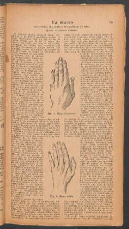 La mano - sus formas, sus líneas y el significado de estas - [Continuación]