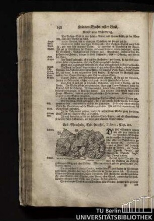Cap. 112. Erd-Morcheln, Erd-Aepffel, Tubera.