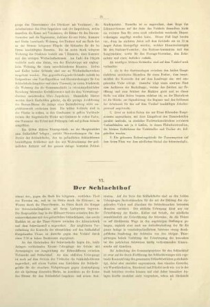 VI. Der Schlachthof