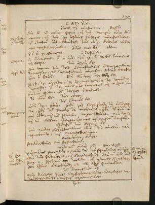 173-213, Cap. XV - XXIII