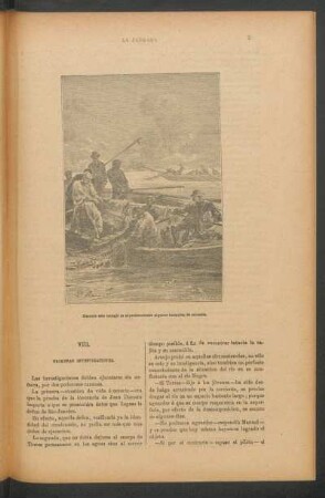 VIII. - Primeras investigaciones.