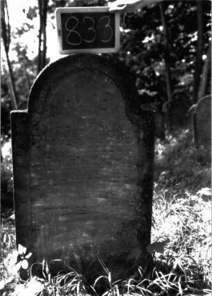 Grabstein 833 (Index: 100102907) Material: Sandstein Zustand: stark verwittert Maße HxBxT: 115x61x9 cm Beschreibung: Stele, eingezogener Rundbogenabschluss, eingetieftes Schriftfeld mit Konvexbogenabschluss: Grabstein 833