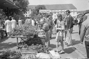 9. Karlsruher Geranienmarkt des Verbands badischer Gartenbaubetriebe auf dem Festplatz