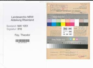 Entnazifizierung Theodor Fey , geb. 24.05.1901 (Finanzbeamter)