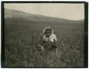 In der Ebene von huwara