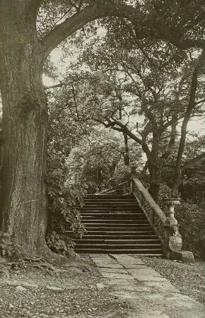 Dohma-Cotta. Schloss Cotta (1662, ab 1833 Umgestaltung; W. Hermann; 1895 Erweiterung und Umbau). Treppe vom Park zur Terrasse