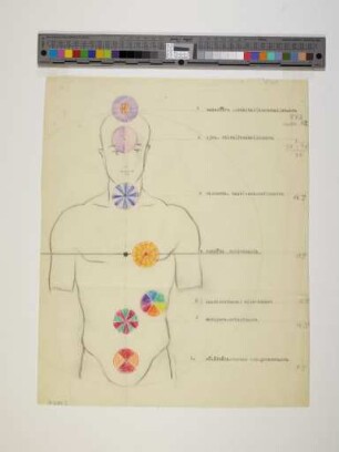 Die sieben Chakras (aus: Natur - Menschenwerk. Die Sinne als Steuerungswerkzeuge. Studien zum Thema "Mensch und Raum", Elemente einer Gestaltungslehre, Aufzeichnungen für den eigenen Unterricht)