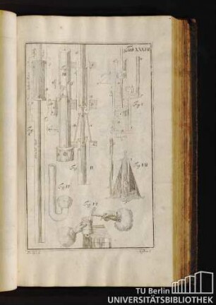 Tab. XXXVII.
