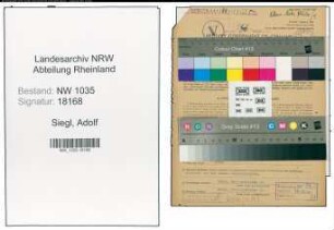 Entnazifizierung Adolf Siegl , geb. 29.08.1908 (Chemiker)