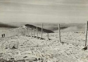 Riesengebirge. Veilchenkoppe (1472 m) am Kammweg, von der Schneegrubenbaude gesehen