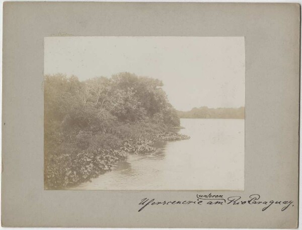 Riverbank scenery on the lower Rio Paraguay