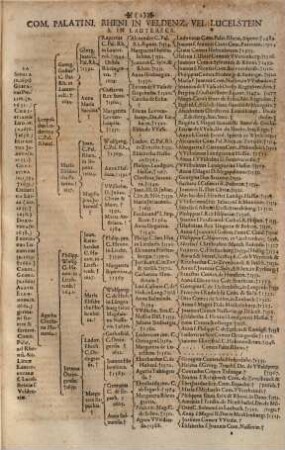 Theatrum nobilitatis Europeae : tabulis, progonologicis praecipuorum in cultiori Christiano orbe magnatum et illustrium progenitores CXXIIX, LXIV, aut XXXII, iusto ordine repraesentantibus exornatum, 2