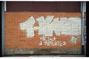 T-KinD