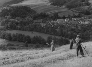Bei Leutenberg (Kreis Saalfeld). Thüringer Wald, Männer und Frau beim Sensen