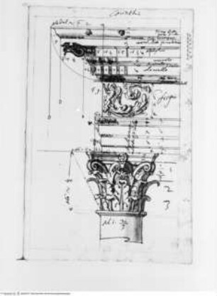 Trattato dell' ordine cinquen e dell' architettura civile, Die Korinthische Ordnung, Kapitell und Gebälk