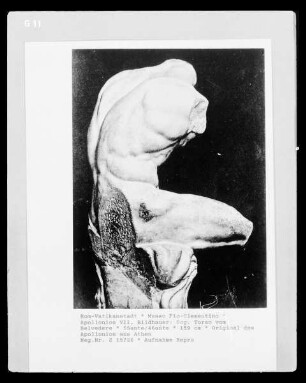 Sog. Torso vom Belvedere