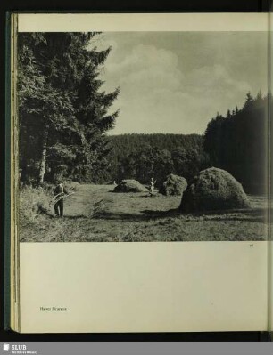 78 Harzer Heuernte