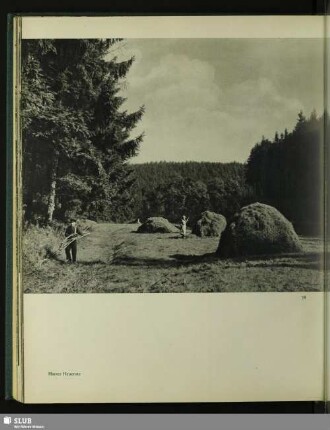78 Harzer Heuernte