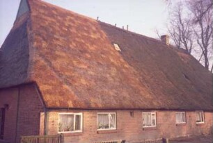 Papierholz: Bauernhaus mit Reetdach: Traufseite
