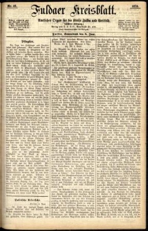 Ausgabe vom Samstag, den 08. Juni 1878.