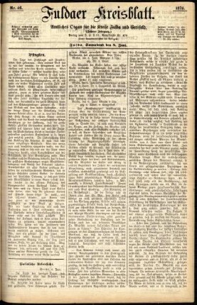Ausgabe vom Samstag, den 08. Juni 1878.
