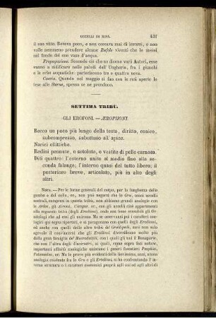 Settima Tribù. Gli Erofoni. - Ærophoni.