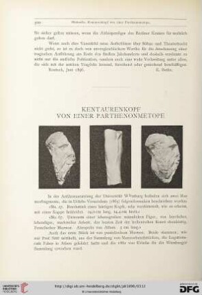 11: Kentaurenkopf von einer Parthenonmetope