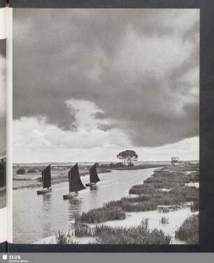Das Moor