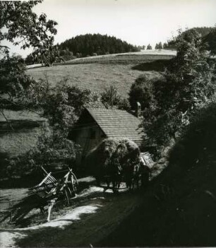 Heuernte im Schwarzwald